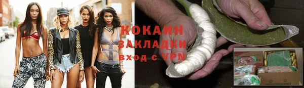 хмурый Магас