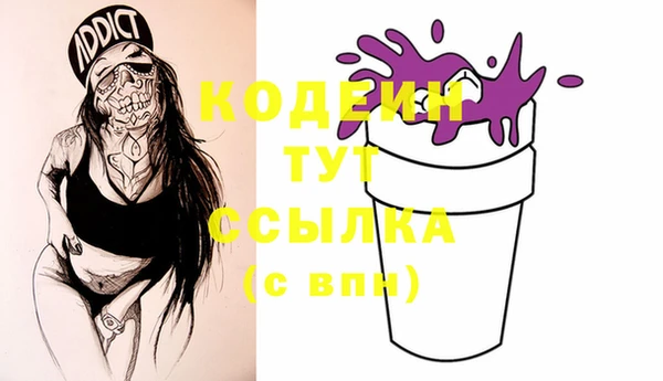 хмурый Магас