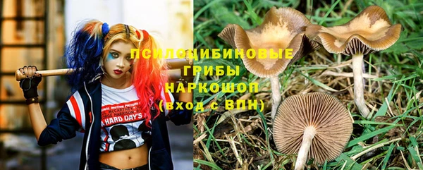 хмурый Магас