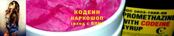 хмурый Магас