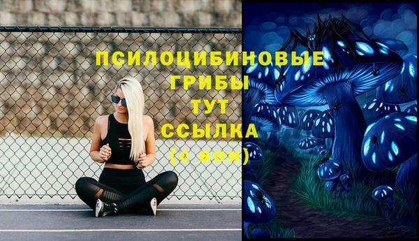 хмурый Магас