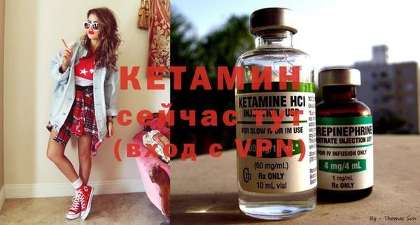 хмурый Магас