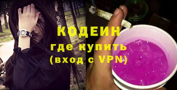 хмурый Магас