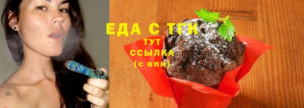 хмурый Магас