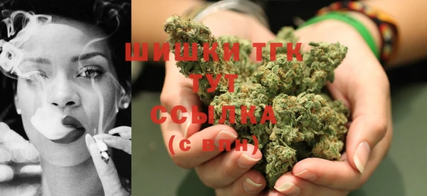 хмурый Магас