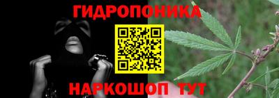 PSILOCYBIN Пенза