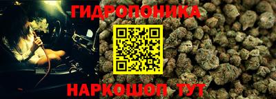 PSILOCYBIN Пенза