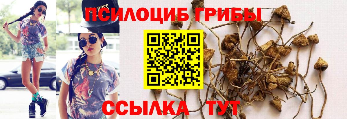 даркнет сайт  Вход с VPN  Псилоцибиновые грибы прущие грибы  Пятигорск  Галлюциногенные грибы Magic Shrooms 